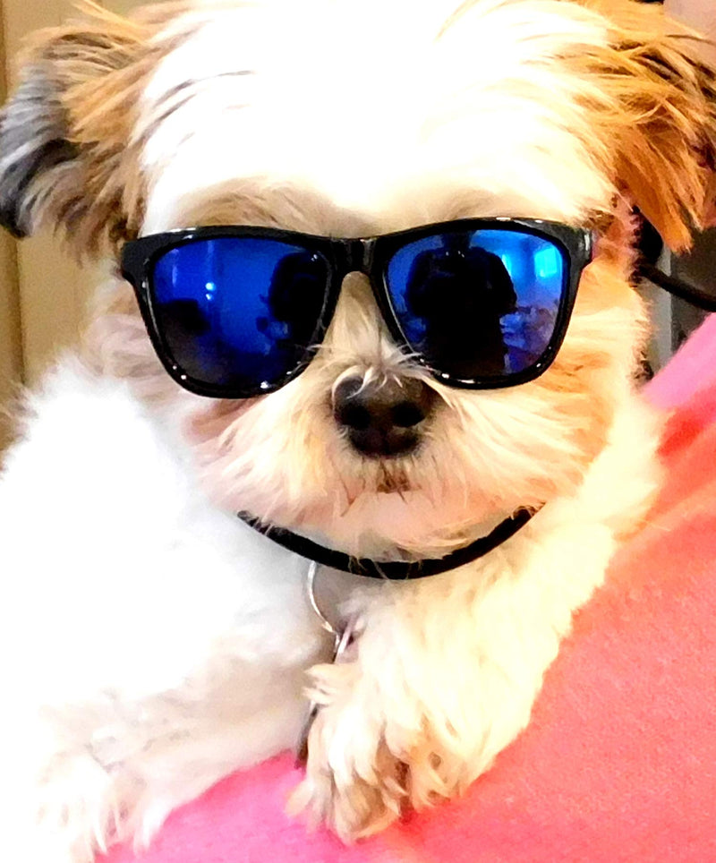 G014 Dog Cat Pet 80s Sunglasses Goggles for Small Breeds up to 15lbs (2-Pack Black+ Black-Blue Mirror) 2-pack Black+ Black-blue mirror
