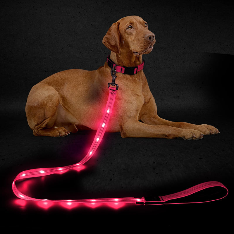 Light Up Dog Leash, 5 Ft LED Dog Lead Glowing Pet Leash with Soft Padded Handle, Safety Dog Lights for Night Walking (Pink) Pink - PawsPlanet Australia