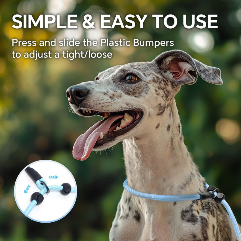 QQPETS Adjustable Slip Lead Dog Leash, Hands Free Waist Leash for Dog Walking, Reflective Training Lead with 360° Swivel Anti-Tangle, 4-7 ft Length for All Breeds Blue Gradient - PawsPlanet Australia