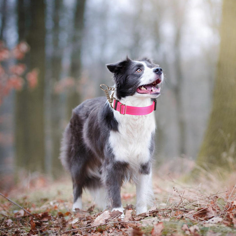 Martingale Dog Collar with Quick Release Buckle Steel Chain No Pull Training Reflective Collar for Medium Large Dogs(Pink, Medium) Pink Medium (Pack of 1) - PawsPlanet Australia