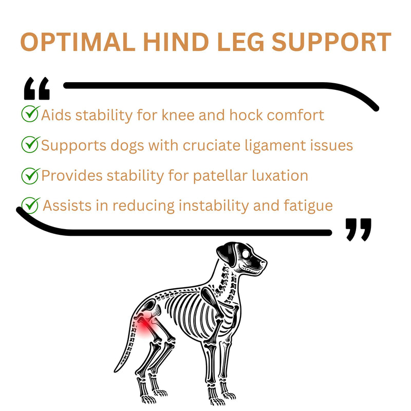 Dog Knee Brace for Hind twoLeg Support - Adjustable Hock Joint Wrap for ACL Ligament Injuries, Luxating Patella, and Arthritis Pain Relief, Best Recovery Sleeve for Injury Legs Dogs (Medium) Medium