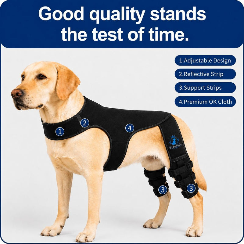 Dog Rear Knee Brace for Small & Medium Breeds, Adjustable Hind Leg Support for ACL/CCL Injury Recovery, Joint Stability, Ligament Protection & Injury Prevention (S) Small (S)