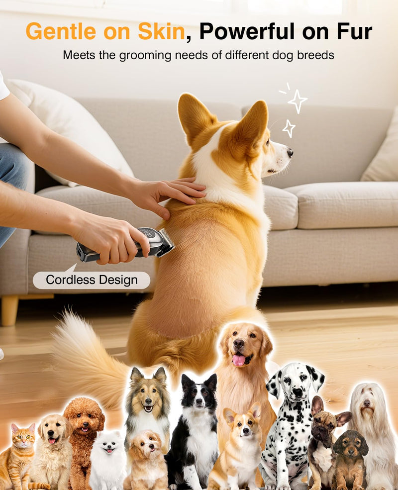 Dog Grooming Kit, Dog Clippers for Grooming for Heavy Thick Hair, Low Noise Cordless Pet Hair Trimmer with Stainless Steel Blade, Professional Rechargeable Hair Trimmer for Dogs and Cats Silver - PawsPlanet Australia