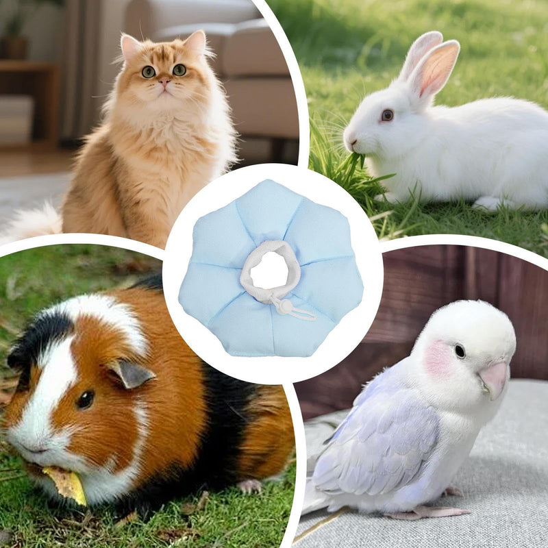 Cat neck collar, anti-bite donut neck collar - gentle recovery collar to stop licking, for kittens, puppies, dogs, rabbits, chinchillas, hamsters, small animals, blue, medium