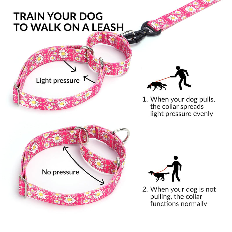 Martingale Collar for Dogs, Adjustable Soft Nylon Dog Collars with Design Cute Daisy Design Patterns for Small Medium Large Dog (Purple, Medium) Purple - PawsPlanet Australia