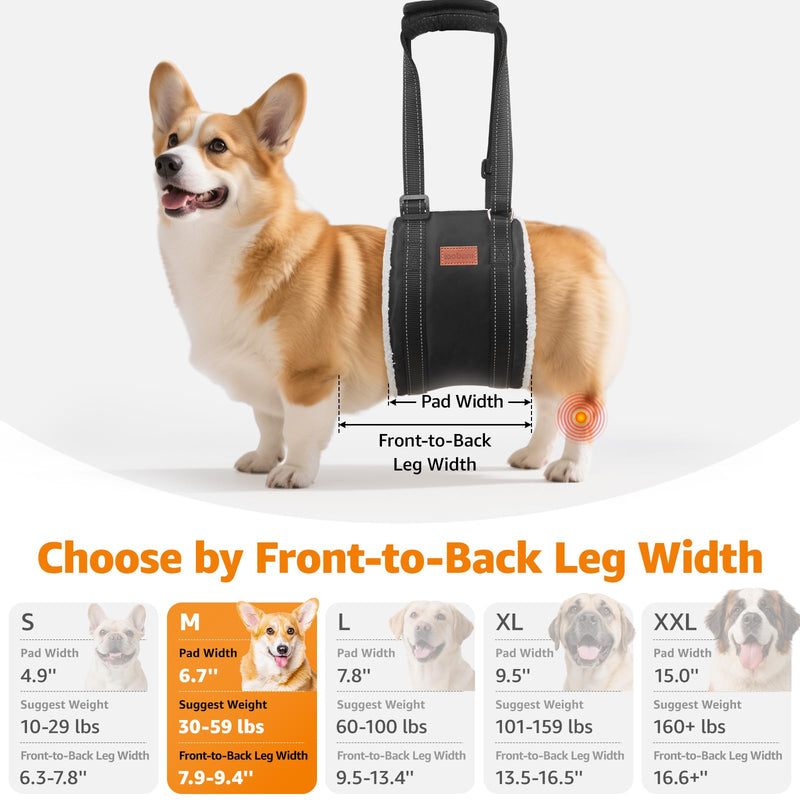 LOOBANI Dog Sling for Medium Dogs Hind Leg Support, Portable Dog Lift Harness for Back Legs, Comfortable Leg Support Assistance for Elderly Dogs with Hip, ACL Brace, Senior, Injured Grey&Grey