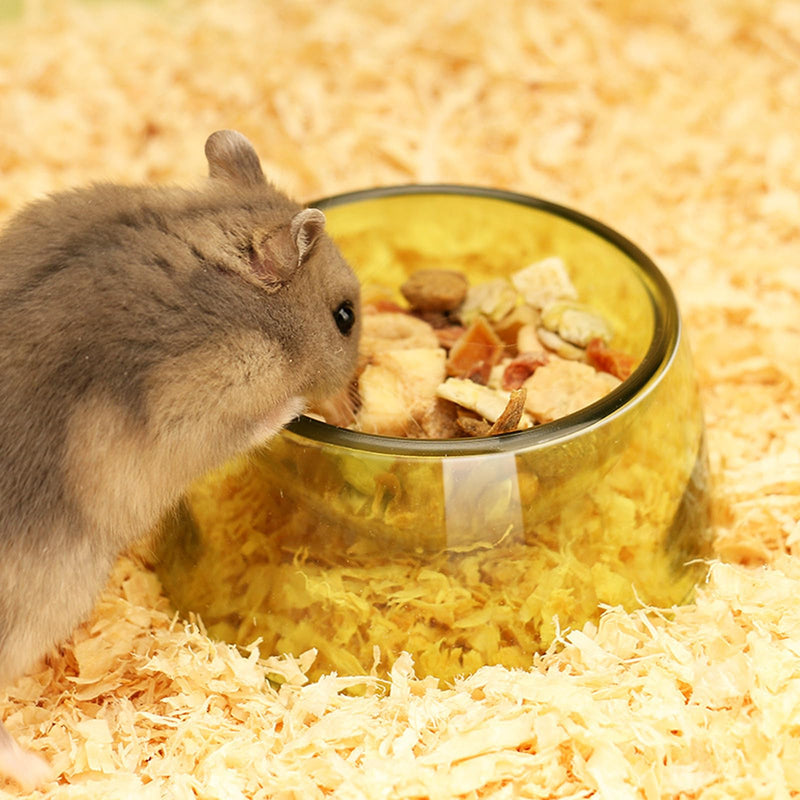 Hamster Food Bowl,Small Animals Food Water Bowl,Water Feeder Container, Hamster Bowls Dwarf Hamster Food Bowl,Hamster Feeding Bowl for Dwarf Hamsters,Mice,Small Animals 3pcs - PawsPlanet Australia