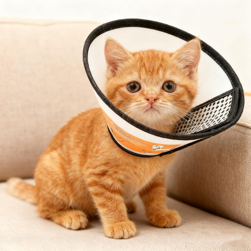 Cat neck brace, 2 PCS Lightweight plastic protective collar, cat collar, lick protection, soft for pets, post-operative anti-bite, soft for cats and small dogs, neck circumference