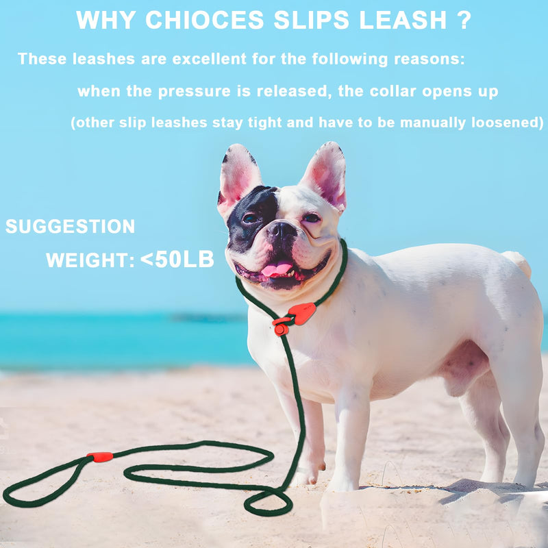 Slip Lead for Dogs Dog Leash Dog Leash for Small Medium Dogs Puppy Leash 6FT 6 Colors Strong Nylon Dog Training Leash No Pull Rope (Green) 6 FT Green - PawsPlanet Australia