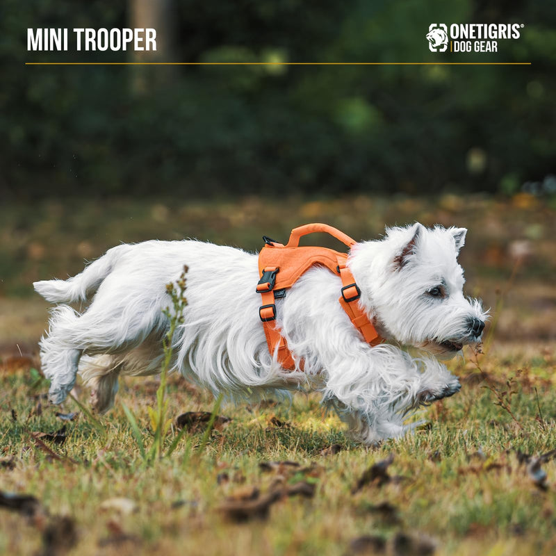 Onetigris Small Harness Dog Harness and Leash Set,MINI Trooper No Pull Dog Vest Fully Adjustable Harness for Puppy Dog and Cats, Dog Vest Harness for XXXS XXS XS Pets (Orange, XXS) Orange - PawsPlanet Australia