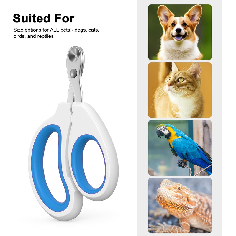 Cat Specific Nail Clipper, Avoiding Excessive Cutting, Suitable for Beginners. It Can Also be Used for Small Animals Such as Birds, Hamsters, Rabbits, Hedgehogs, Ferrets, Guinea Pigs, Etc. blue - PawsPlanet Australia