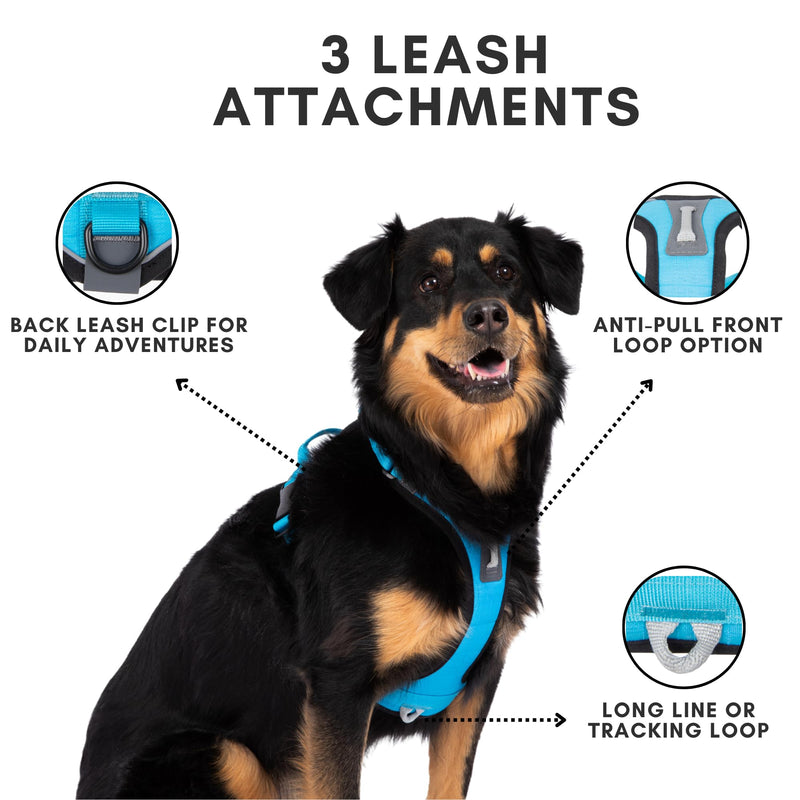 ShawnCo Basecamp Dog Harness, No-Pull Pet Vest with 3 Leash Clips, Padded, Reflective, Lightweight and Adjustable Harness with Handle for Small, Medium and Large Dogs (Olive Green, M) Olive Green - PawsPlanet Australia