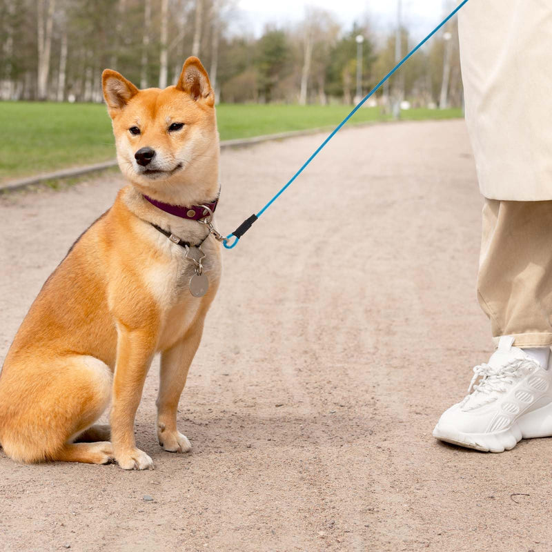Chew Proof Dog Leash, 6FT Heavy Duty Metal Cable Dog Leash Leads Chew Resistant Dog Leash Coated Wire Rope Leads Non Chewable Dogs Metal Leash for Large and Medium Dogs (Black & Blue) - PawsPlanet Australia