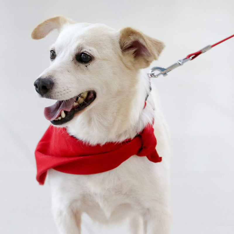 American Kennel Club 20ft - 100lb - PawsPlanet Australia