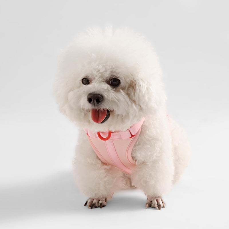 HNS1001G Arlo Small Adjustable Soft Padded No Pull Pet Harness with 3 Buckles and 3 Leash Clips, Paloma Pink Small (Chest: 14 - 22") - PawsPlanet Australia