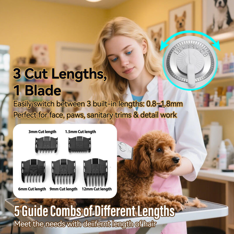 Professional Electric Dog Grooming Clippers, 4000mAh Battery, LCD Display, Type-C Charging, Silver (White)