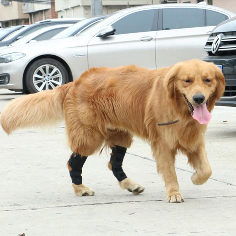 KHIRY Dog Leg Support for Rear Ankle Joints, Dog Knee Brace for Torn Rear Hip, Support for Back Healing of Dogs, Support for Arthritis Wound Arthritis (Medium)
