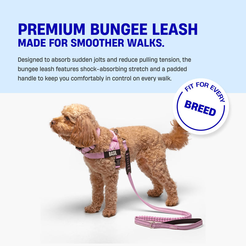 DF Co. Bungee Dog Leash | Strain Free & Shock Resistant for Control | Neoprene Padded Handle, Heavy-Duty Carabiner Clip, and D-Ring | Purple, Size Regular
