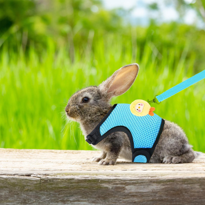 4-Pack Rabbit Harness and Leash Set, Rabbit Leash and Harness Set Escape Proof, Adjustable, with 2 Pendants, for Ferrets Pigs Puppies Small Animals Pets Outdoor Walking Supplies (Pink/Blue) - PawsPlanet Australia