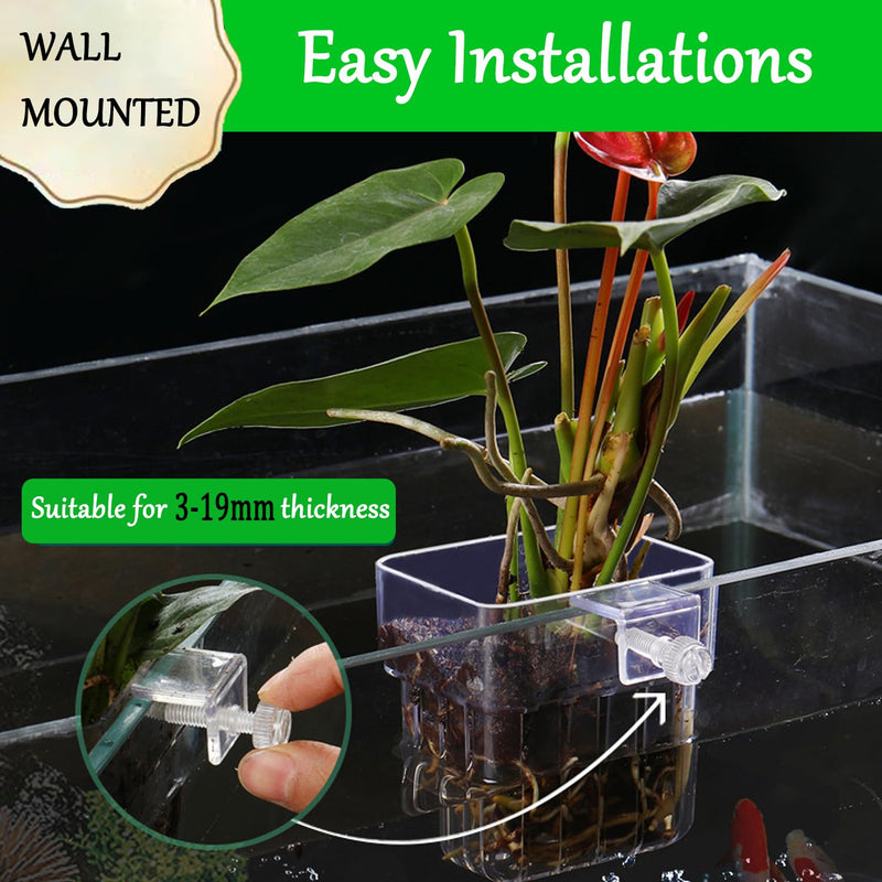 Aquarium Plant Holder, Aquatic Fish Tank Plant Holder with Hooks, Clear Aquatic Fishtank Planter Hanging Holder, Fish Tank Decorations Aquarium Decor (2 Pcs) 2 Pcs - PawsPlanet Australia