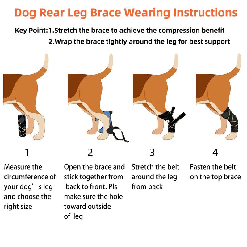Dog Canine Rear Leg Hock Joint Brace for Medium and Large Dog, Compression Wrap with Straps & Metal Spring Strips Protects Wounds, Heals, Prevents Injuries and Sprains from Arthritis-L Green - PawsPlanet Australia
