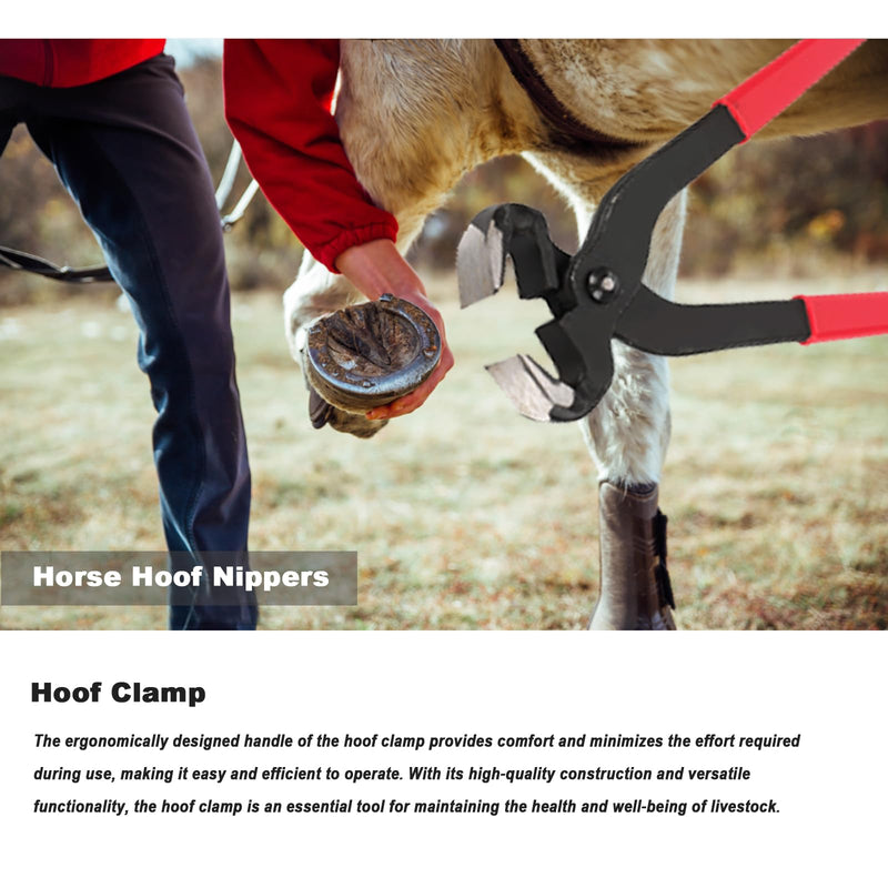 14 Inch Farrier Tools, Professional Farrier Tool Kits Horses Hoof Trimmers Suitable for Hoof Trimming for Horses Cows, Sheep, Donkeys and Other Medium Sized Animals Rasp Hoof Cutter Set