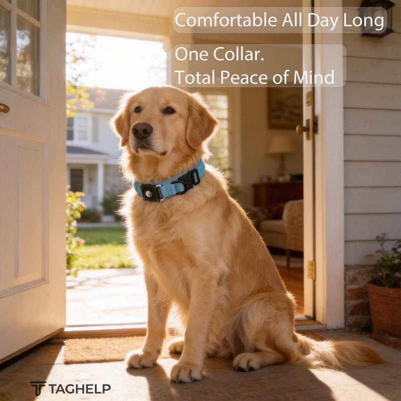 Tactical Airtag Dog Collar Waterproof - Adjustable Nylon Training Collar with Secure Airtag Holder, Control Handle & Quick-Release Buckle for Medium Large Dogs (Blue, L) Blue L (17"-20.5")