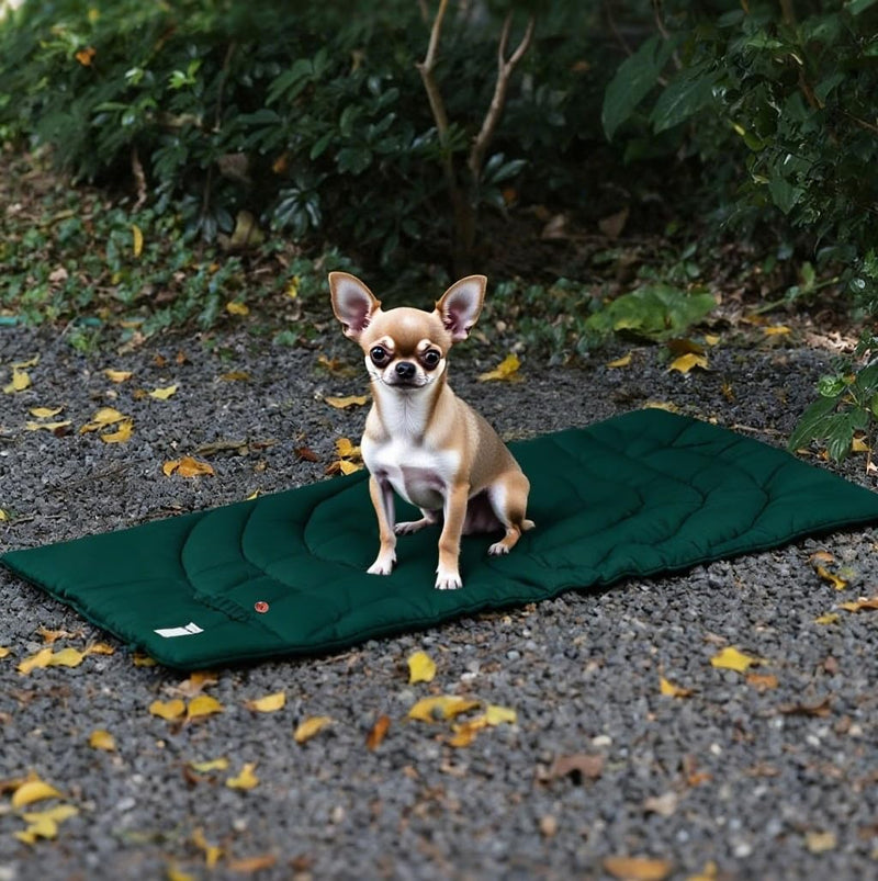 Travel Dog Bed | Camping Dog Bed | 37.4"x25.6" Waterproof Outdoor Dog Mat | Portable Place Mat for Dogs with Handle | Machine Washable | Easy Clean for Outdoor Adventures (Brown) Brown（37.4‘’x25.6‘’） - PawsPlanet Australia