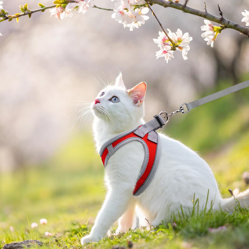SCENEREAL Cat Harness and Leash Set Escape Proof, Adjustable Soft Air Mesh Kitten Harnesses for Girls Boys Small Medium Big Cats, Reflective Light Travel Pet Walking Vest for Puppy Rabbit, Red M Red (gray wrap and leash) M(Chest 13-14.5")