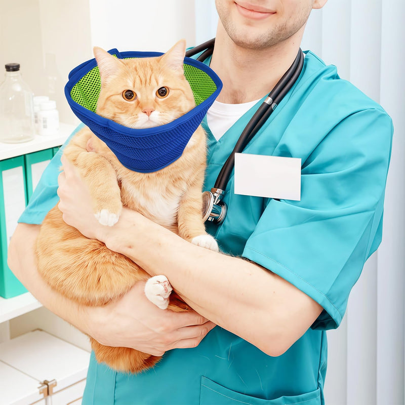 Collar for Dogs, Adjustable Protective Collar, Lightweight Cone Collars, Recovery, Elizabethan Collar for Pets (L) 2 L