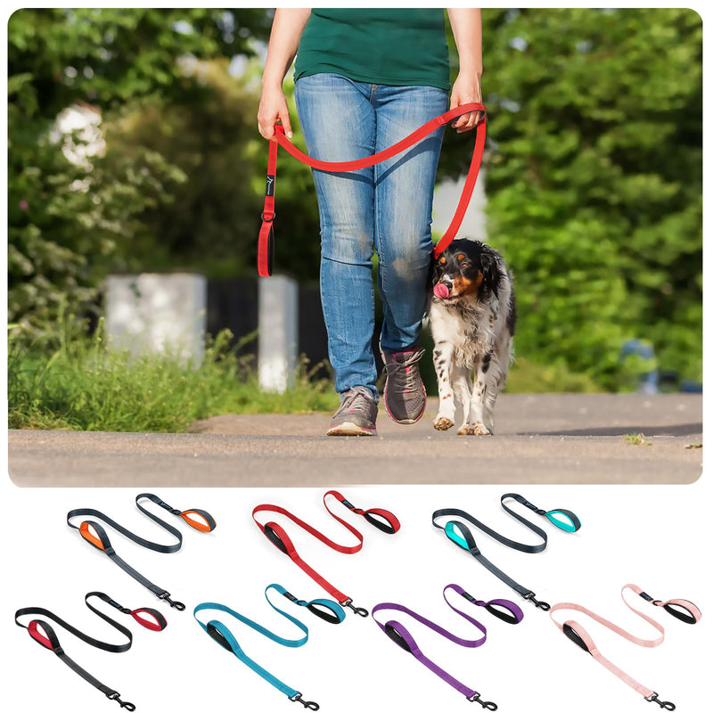 PuppyDoggy Dog Leash for Large Medium Dogs - 6Ft x 1" Reflective Stitching with Padded Handles & Poop Bag Dispenser (All Black) All Black 6 ft x 1 inch - PawsPlanet Australia