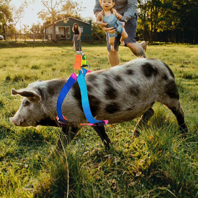 Mini Pig Harness, 2 Pieces Adjustable Small Pig Harness with Leash Set Pet Pig Harness Supplies Harness Set for for Hog Piggy Rabbit Small Animals Walking Jogging (S, Multicolor) S - PawsPlanet Australia
