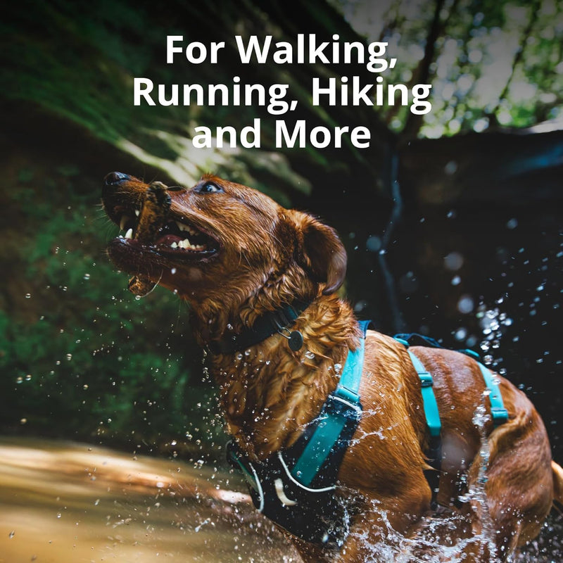 Ruffwear, Flagline Dog Harness, Lightweight and Reflective, No Pull Dog Lift Harness for Hiking, Running and Everyday Use, Lichen Green, XX-Small - PawsPlanet Australia