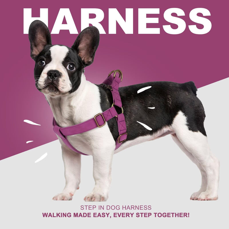 Didog Step in Dog Harness - PU Leather Dog Harness with Antique Bronze Metal Buckle, Easy Walk Dog Halter Harness for Medium Large Dogs Walking Training (Purple, M: Chest 20-29") M:Chest 20-29", Fit 25-45 lbs Purple - PawsPlanet Australia