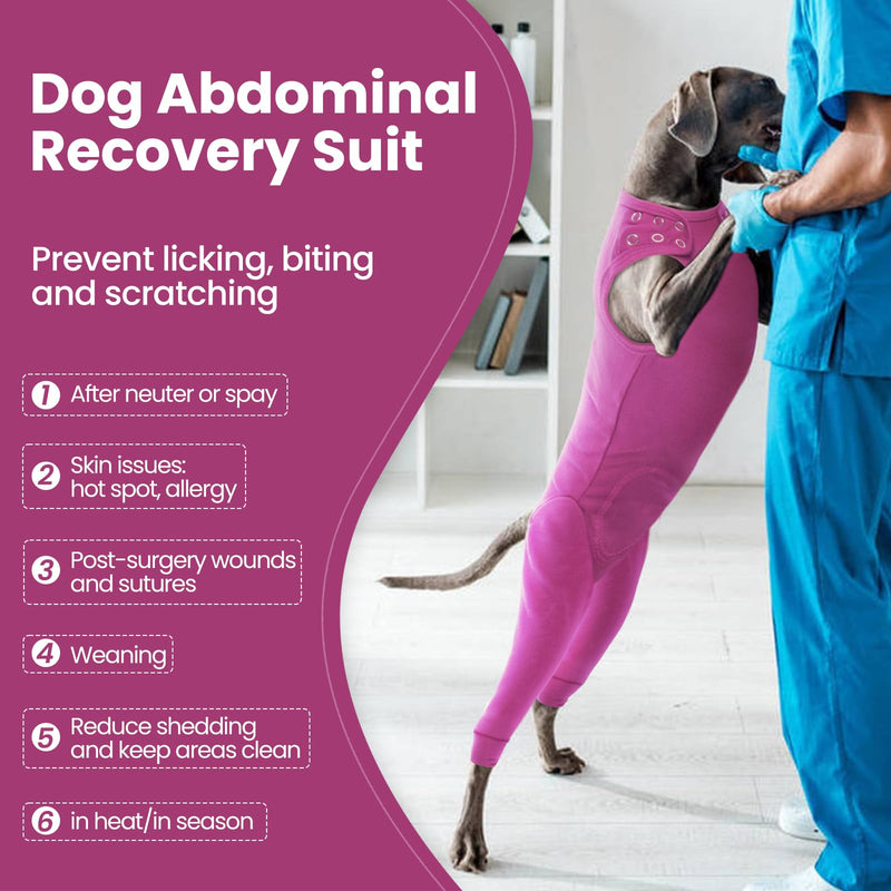 Nanaki Dog Wound Care Shirt, Leg Sleeves to Stop Licking Rear Leg and Abdomen, Surgery Suit for Female Spay, Onesie for Surgery Female, Surgical Recovery Suit Wound Heal Clothes L(Back:16.1", Weight:15-28Ib) Purple