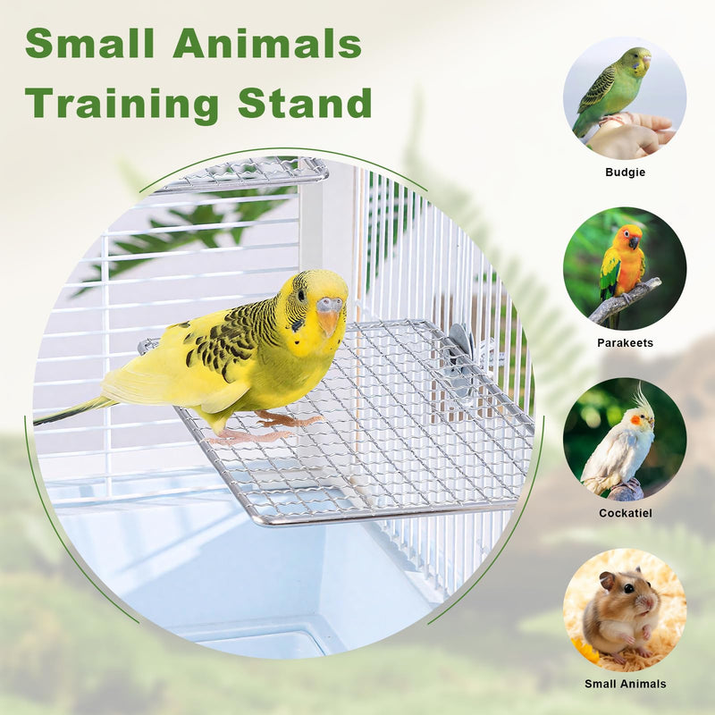 Stainless Steel Bird Perch for Cage, Open-Grid Easy Clean Parrot Perch Stand Platform, Claw-Friendly Grip Bird Cage Accessories for Cockatiel, Conure, Budgie, Parakeet, Small Medium Birds - PawsPlanet Australia