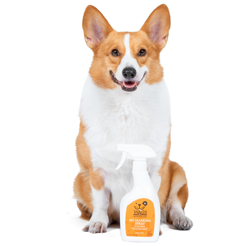 Wags & Wiggles No Marking Deterrent Training Spray for Dogs - Indoor Dog Pee Repellent & Behavior Aid, Anti Pee & Urine Deterrent, No More Marking, Ideal for Potty Training - PawsPlanet Australia