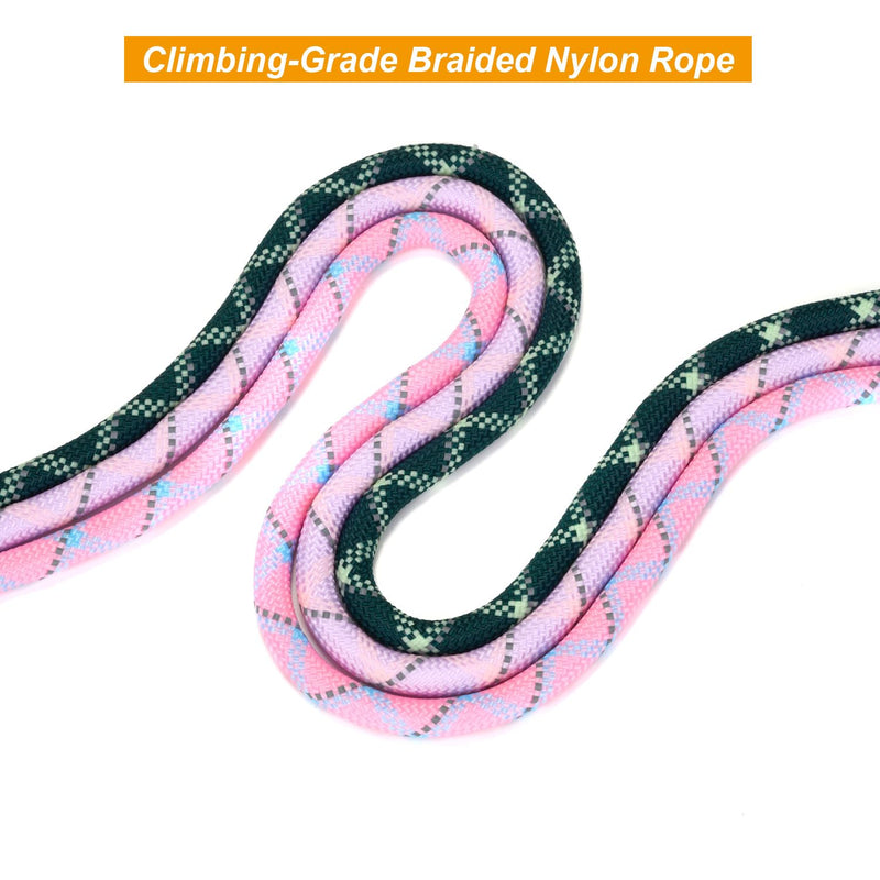 Slip Lead Dog Leash 5 Ft No Pull Reflective Nylon Dog Rope Training Leash with Padded Handle for Puppy Small Medium Dogs(Purple) Purple - PawsPlanet Australia