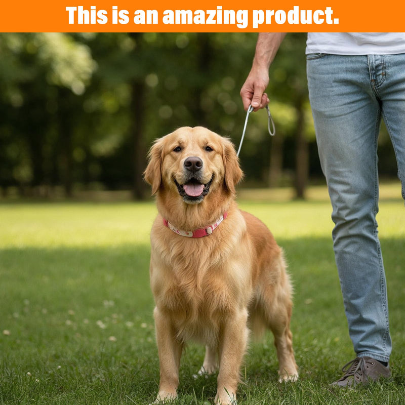 2 Pcs Chew Proof Dog Leash Extender Short Metal Cable for Dogs Cables Lead No Tangle 24" Detachable Short Handle Cable Braided Cord Steel Training Dog Leash for Most Dogs Leashes Collars Harnesses - PawsPlanet Australia