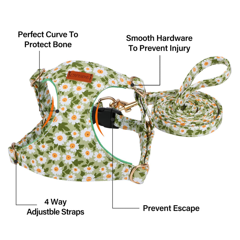 CHEDE No Pull Floral Pattern Dog Harness- Lightweight and Soft, Adjustable Small Dog Harness and Leash Set, with Dog Leash, Suitable for Puppy Small and Medium-Sized Dog (M, Green Daisy) - PawsPlanet Australia