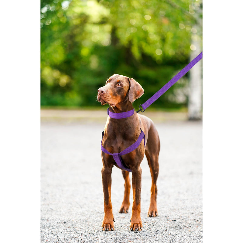 Mile High Life Night Reflective Double Adjustable Band Nylon Small Puppy Pet Dog Combo Collar Leash and Harness Set (Reflective Solid Purple, Large (Pack of 3)) Large (Pack of 3) Reflective Solid Purple - PawsPlanet Australia