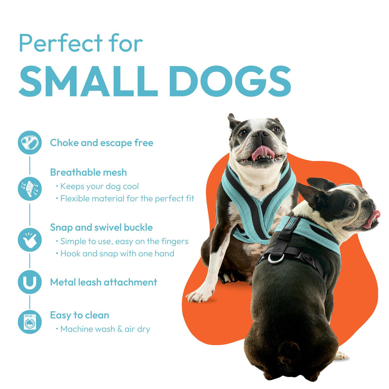 Gooby Comfort X One Dog Harness - Head-in Dog Harness for Small & Medium Sized Dogs - Escape-Free & Choke Free - Breathable Mesh, Shock Absorbing, Easy Snap & Swivel Buckles - Seattle Blue, Large Large Chest (19.25-22.75") - PawsPlanet Australia