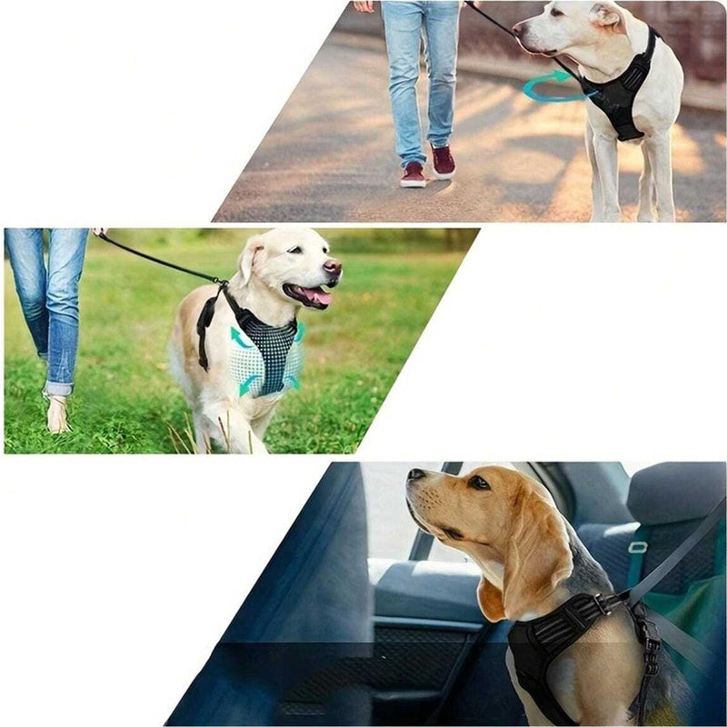 Dog Harness and Leash Set,Eflective and Breathable Pet Harness, Adjustable Comfortable Soft Padded Vest Harness Easy Control with a Free Heavy Duty 5ft Dog Leash. (Sky Bllue, Large) Sky Bllue - PawsPlanet Australia