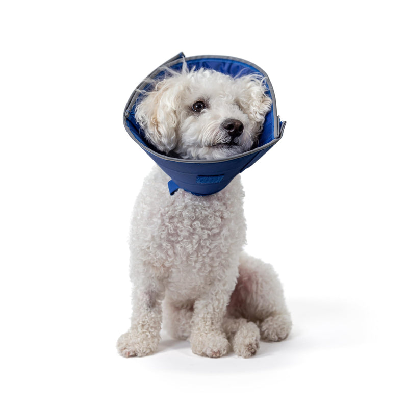 Caring Collar (X-Small) X-Small