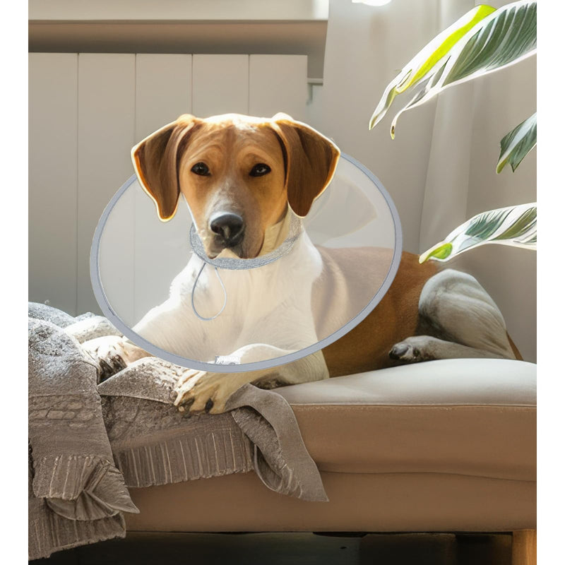 KUDES Cat Dogs Cone E Collar with Low Noise Fasteners Glow in The Dark, Transparent Cat Recovery Collar, Licking and Scratching Free Cone, Extra Soft Small Medium Dog Pet Surgery Collar High Grade Grey L (Between 11-16.5lb.) - PawsPlanet Australia