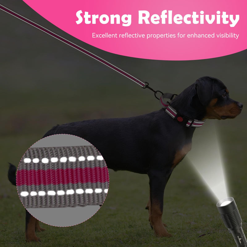 Martingale Collar for Dogs,Soft Neoprene Padded Reflective Martingale Collar and Leash Set Safety Buckle Nylon Martingale Collar for Puppy(Hotpink&XS) XS Hotpink - PawsPlanet Australia