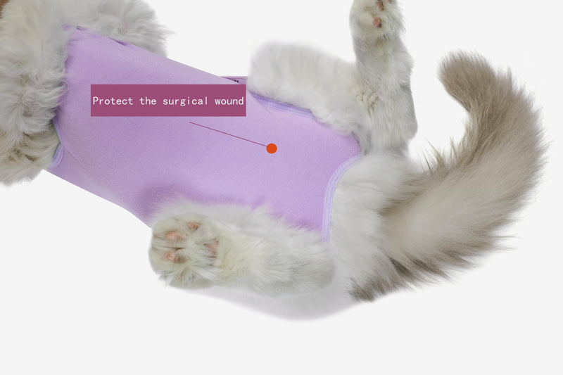 Cat Surgery Recovery Suit Female Kitten Cat Onesie for Cats After Surgery Spay Surgical Abdominal Wound Skin Diseases Cone Collar Soft Alternative Wear (Purple, M) Medium Purple - PawsPlanet Australia