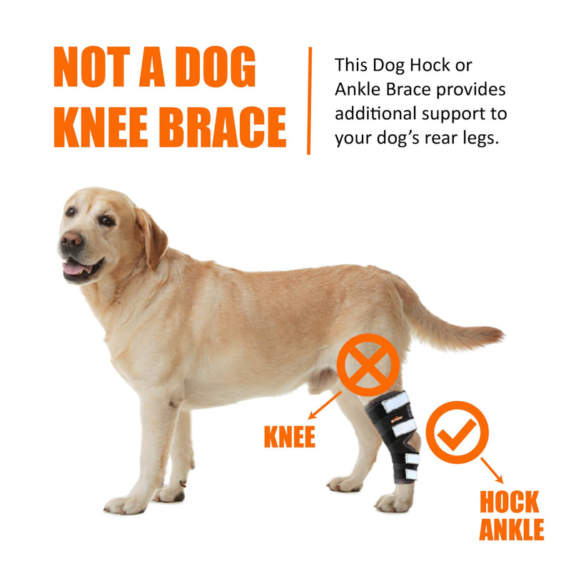 NeoAlly Dog Rear Leg (One Leg) Hock Brace, Canine Leg Wrap for Hind Leg, Ideal Hock & Ankle Support and Protection for Sprain Recovery, Achilles Tendon Injury (Extra Large (Left Leg)) Left Leg X-Small