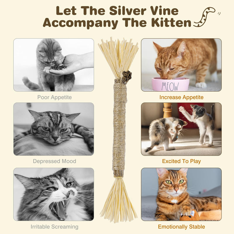 4 Pack Silvervine Sticks for Cats - Cat Chew Toy for Dental Care, Edible Matatabi Cat Chew Sticks for Teeth Cleaning, Kitty Toys for Indoor Cats (4 Sticks) 4 Sticks - PawsPlanet Australia