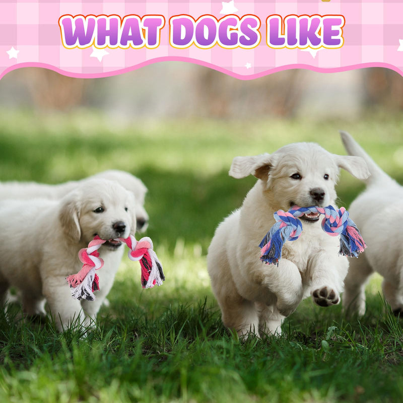 Paterr 12 Pcs Rope Dog Toys Multi Color Puppy Rope Toy Cotton Puppy Toys Dog Chew Rope Puppy Teething Toys for Small and Medium Dogs Puppies - PawsPlanet Australia